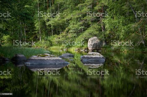 Summer Landscape With Lake Stones And Forest Stock Photo Download