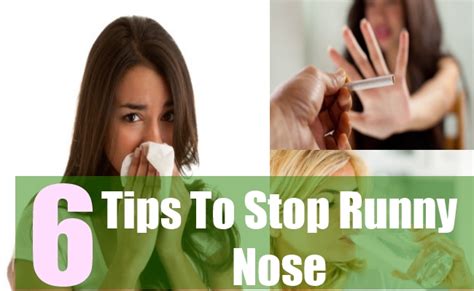 Perform the movement 10 times. 6 Tips To Stop Runny Nose - Ways To Get Rid Of Runny Nose ...