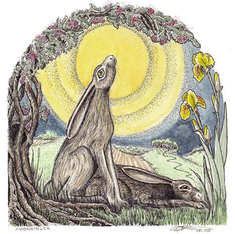 Pin By Deb Stanger On Rabbit 2 Hare Drawing Moon Gazing Hares Bunny Art