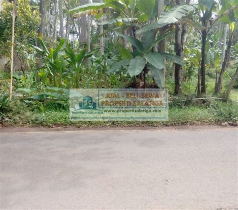 Dijual Tanah Luas 400 Meter Persegi Pinggir Jalan Utama Regunung Kab