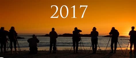It will be bing weekly quiz. Bing 2017 year in review quiz