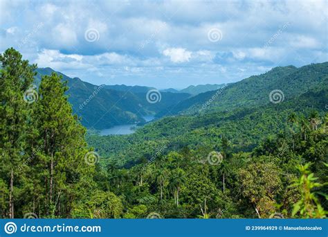 Tropical Mountain Forest Landscape During Morning Fog On A Winter Day