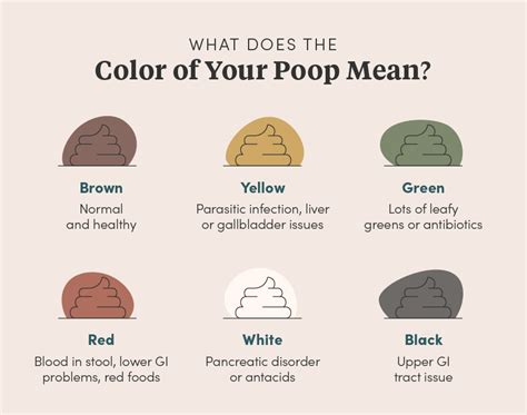 22 Poop Facts You And The World Need To Know — Tushy