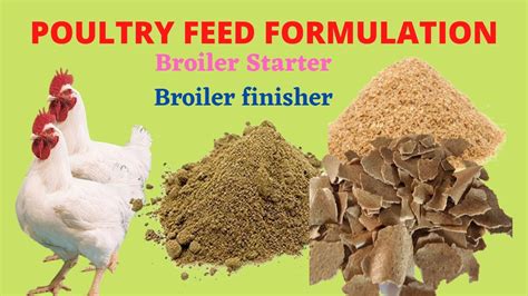 Broiler Feed Formulation How To Make Your Own Poultry Feed Youtube