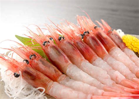 Sashimi And Raw Fish Live Japan Travel Guide