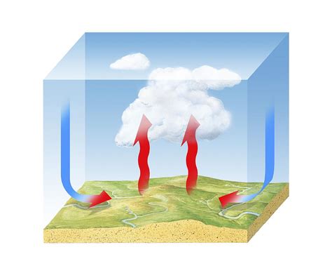 Convection Cloud Formation Diagram Photograph By Science Photo Library