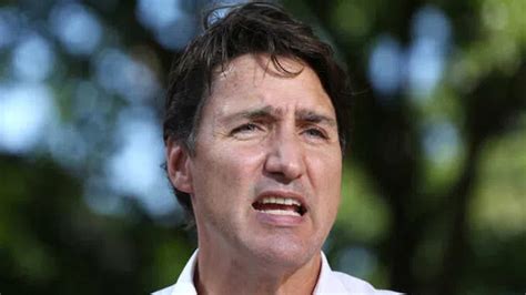 Millions Of People Are Reporting Trudeau S Videos On Youtube For Spreading False Information