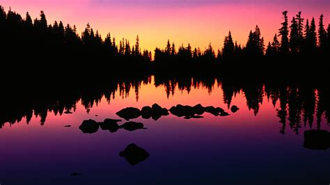 Trees Silhouettes Oregon Lakes Reflections Wallpapers Hd Desktop