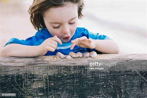 Boy Seashells Photos And Premium High Res Pictures Getty Images