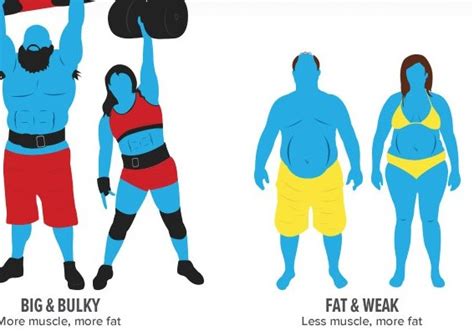 The Matrix Of Fat Versus Muscleinfographic