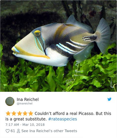 Funny Amazon Like Reviews Of Weird Animals Are Taking Over Twitter 20
