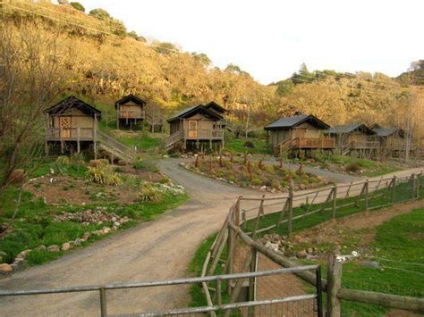 Glampers will be spoiled for choice with a choice of the best cabins for camping! 29 Glamping Spots & Cozy Cabins Perfect for Winter ...