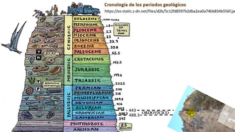 Linea Del Tiempo De Las Eras Geologicas Línea Del Tiempo Eras