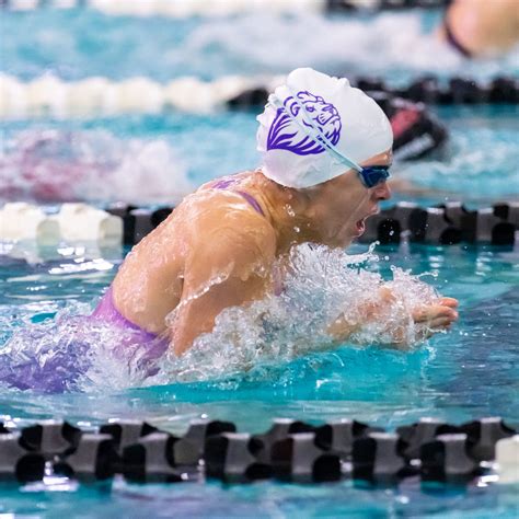 2023 Wiaa Division 2 Girls Swimming And Diving Championships In Waukesha