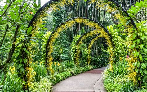 America S Most Beautiful Gardens Singapore Botanic Gardens Gardens Of The World Urban Garden
