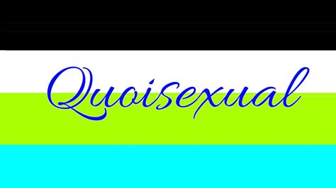 quoisexual pride flags gender identity sexism