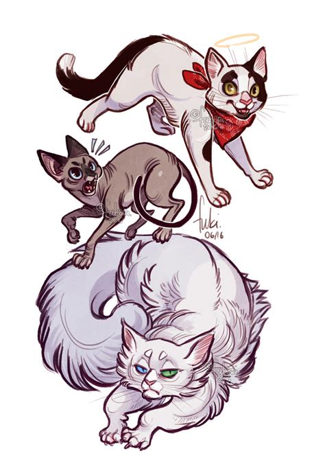 Cats By Fukari On Deviantart