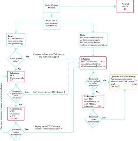 Summary Flowchart Of Medical Management Of Paediatric Luminal Crohn S Download Scientific