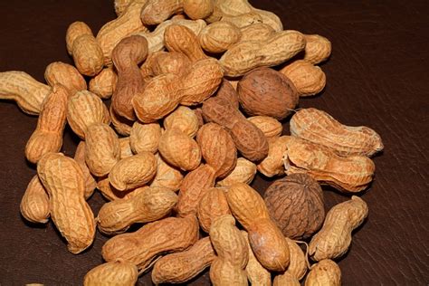 Free Photo Peanuts Nuts Walnuts Nutrition Free Image On Pixabay