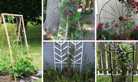 14 Easy Diy Garden Trellis Projects For Your Garden