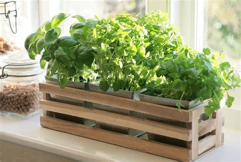 Flower boxes and window box planters are great for gardening in small spaces! Bylinky: Vypěstujte si vitamíny v truhlíku - Inspiri