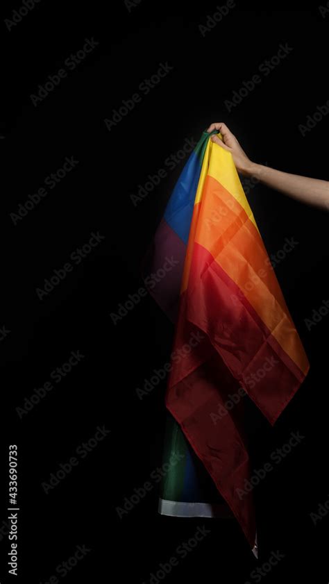 Lgbtq Pride Flag Lesbian Gay Bi Sexsual Transgender Queer Homosexsual