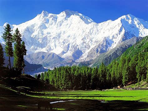 Top 5 Mountains In Pakistan Realitypod Part 2