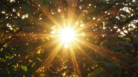 Die sonne geht auch auf der südhalbkugel im osten auf. Die Sonne ging Heute Morgen auf und...... Foto & Bild ...