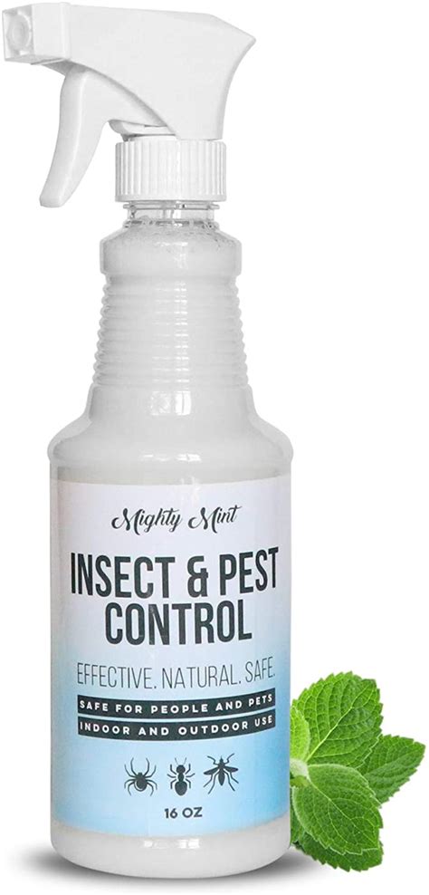 If your pet isn't curious, it's relatively straightforward because you can choose a bait station that contains the ant killer within and poses. Mint-pet-safe-roach-killer - Pet Safe Ant Killer