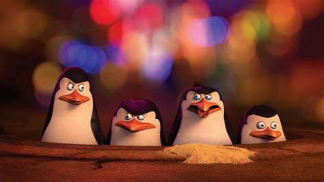 Penguins Of Madagascar Private Wallpaper