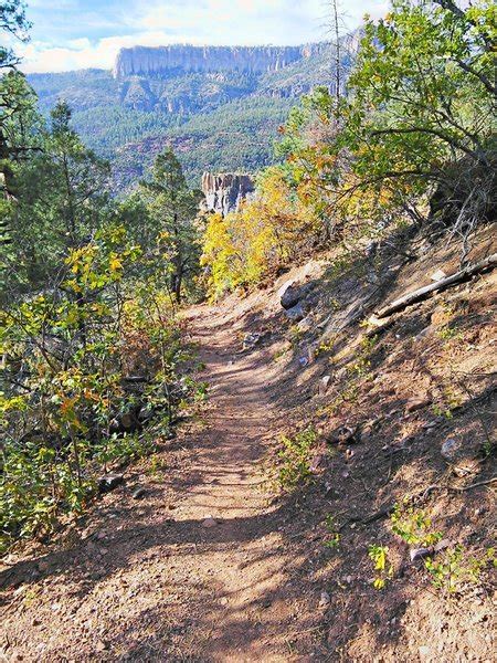 East Fork Trail 137 Hiking Trail Jemez Pueblo New Mexico