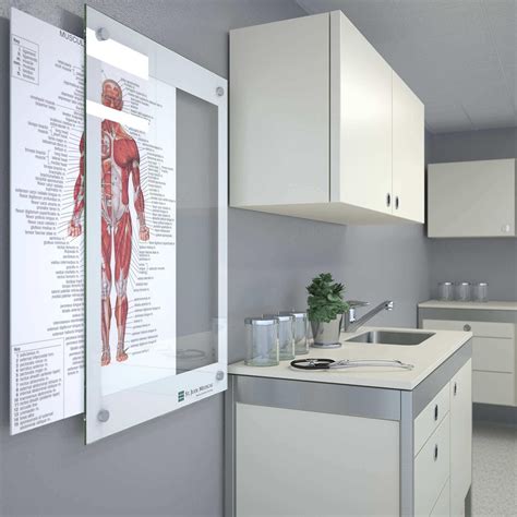Gallery Glass Whiteboards And Glass Dry Erase Boards By Clarus Doctors Office Decor Medical