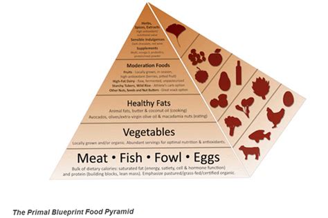 Primal Food Pyramid What Food Looked Like In The Primal Days Learn