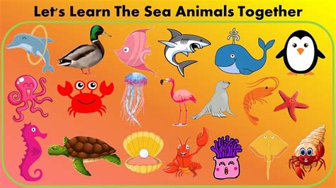 Learning The Sea Animals For Kids Youtube