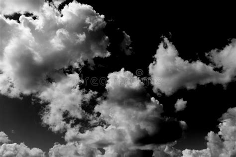 White Clouds On The Sky In Black And White Photo Stock Image Image Of