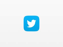 Your access to the latest updates on twitter in a nice and timely manner free updated download now. Small twitter Logos