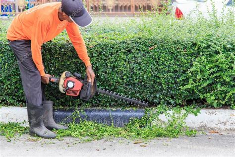 A Man Trimming Hedge At The Street — Stock Photo © Phanuwatnandee 57404651