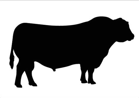 Free Bull Silhouette Download Free Bull Silhouette Png Images Free