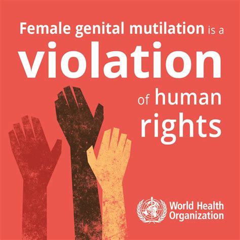 Sudan Ratifies Law Banning Female Genital Mutilation Lawcarenigeria