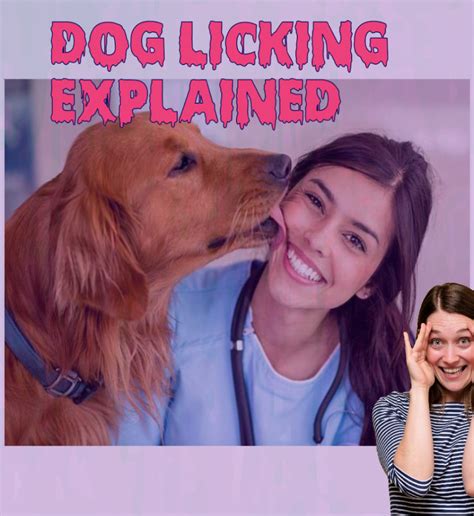 Dog Licking Explained