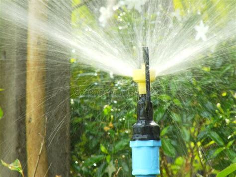 Garden Sprinkler On A Sunny Summer Day During Watering Stock Image