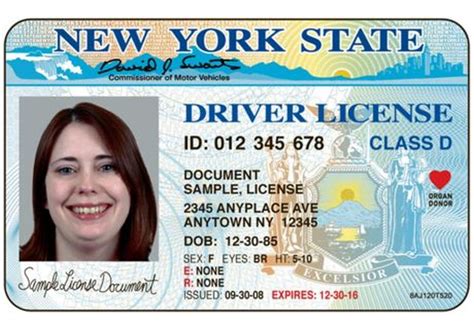(the under 21 ids are vertical). Evolution of the New York Driver's License (40 pics)