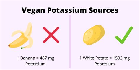 The 30 Best Vegan Potassium Sources Chart Table