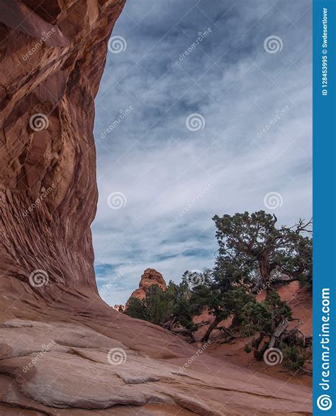 Arches National Park In Moab Utah Stock Image Image Of Fins Park