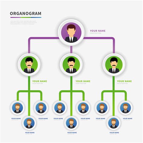 Organogram Template Infographic