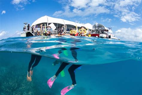 Tripadvisor Great Barrier Reef Abenteuer Von Cairns Inc Schnorcheln Sie Von Der