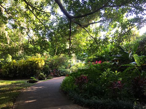 Garden Housecalls - What Became of Cypress Gardens?
