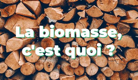 La Biomasse Cest Quoi Ohm énergie électricité Et Gaz