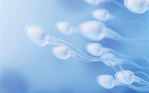 Premium Ai Image Human Sperm Cells 3d Rendering Digital Drawing