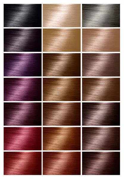 Color Chart For Hair Dye Tints Hair Color Palette With A Range